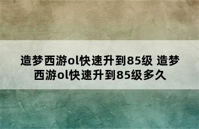 造梦西游ol快速升到85级 造梦西游ol快速升到85级多久